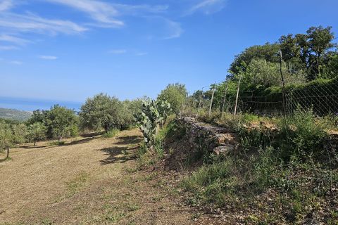 Terra a Collesano, Palermo, Collesano - € 16.000 | Ref: 10638 - foto 6